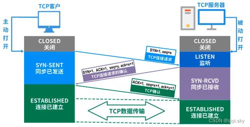 计算机网络体系结构中的关键术语解析